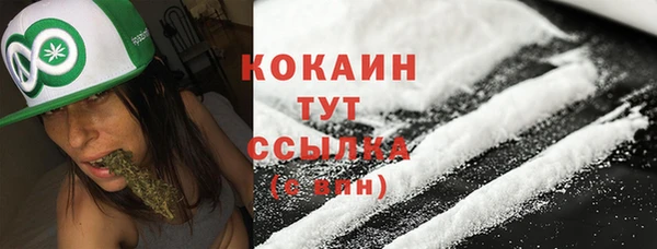 spice Гусиноозёрск