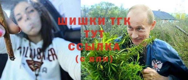 герыч Гусь-Хрустальный