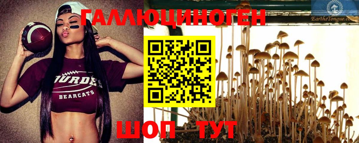 Псилоцибиновые грибы MAGIC MUSHROOMS Добрянка