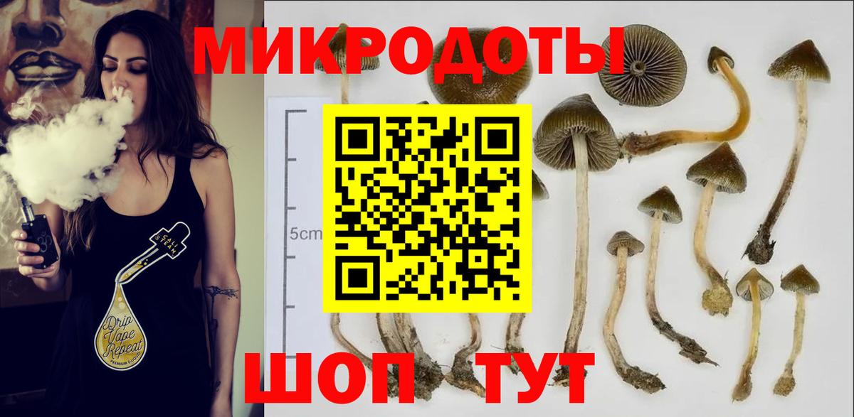 Галлюциногенные грибы MAGIC MUSHROOMS  Вход с VPN  продажа наркотиков  Добрянка 